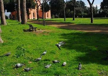 Penzion Annodomini 4*